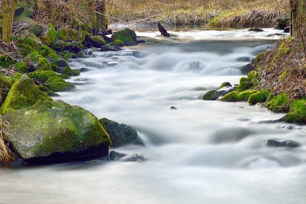12. Platz Franz Müller